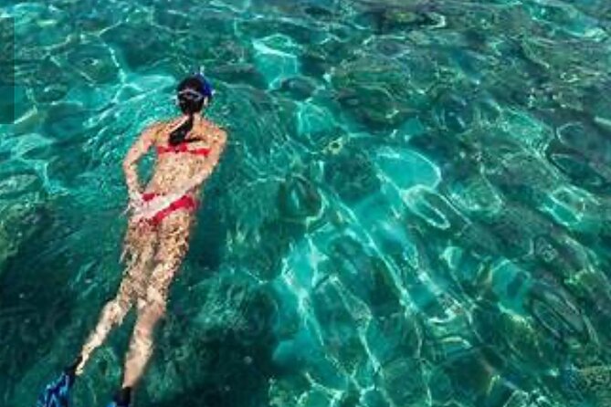 Family Fun-Snorkeling with Lunch Stop from Montego Bay - What the private transport adds