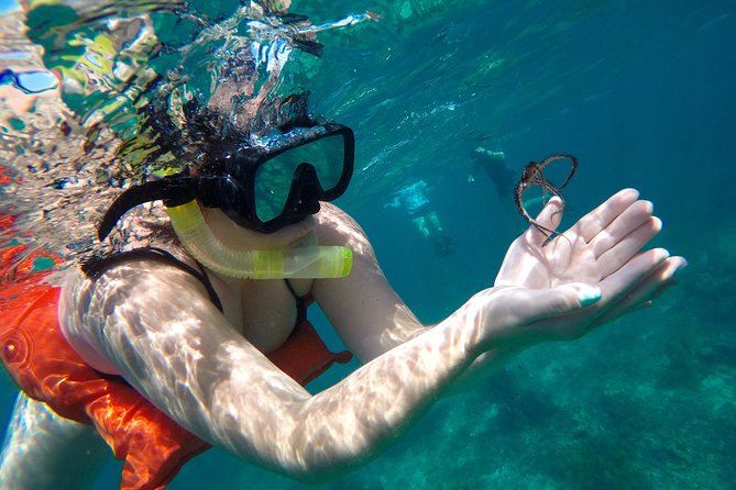 Family Snorkeling Adventure Punta Cana - Boarding the catamaran from Bavaro Beach
