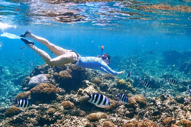 Family Snorkeling Adventure Punta Cana - The natural lagoon and other passing sights