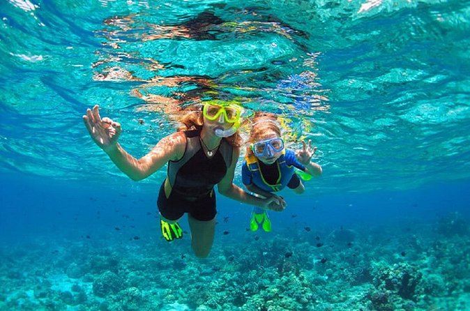 Family Snorkeling Adventure Punta Cana - Is $75 a fair price?
