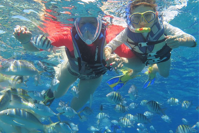 Family Snorkeling Adventure Punta Cana - A coastal cruise with fruit, mimosas, and rum
