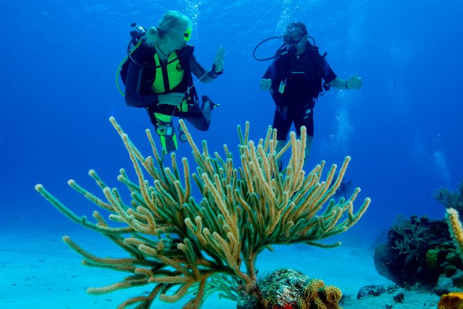 First Time Scuba Diving Experience in Punta Cana - Why the $199 price can make sense