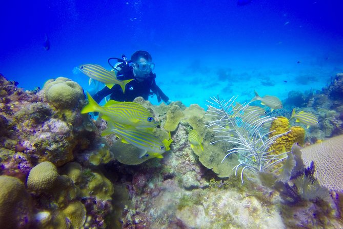 First Time Scuba Diving Experience in Punta Cana - The teaching is the real strength