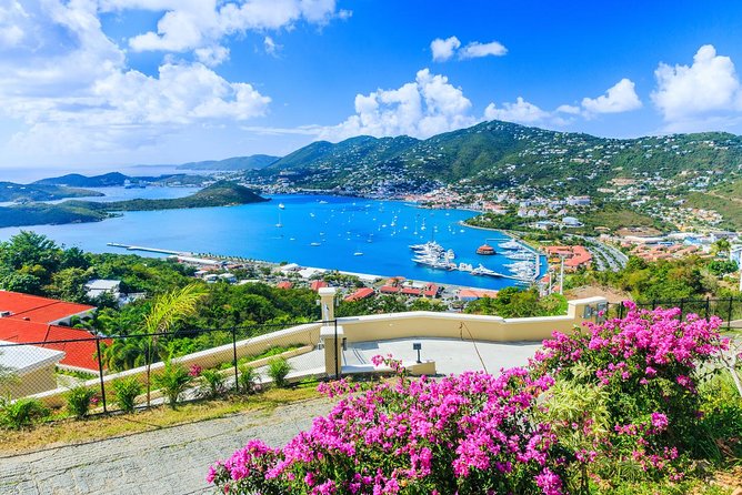 Flavors of St Thomas Walking Food Tour - What the Food Tasting Can Teach You