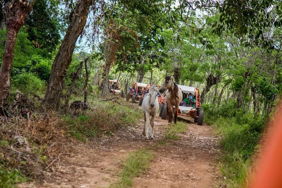 Flintstones Buggy, Cave and Adventure in Bavaro - Who will enjoy this most?