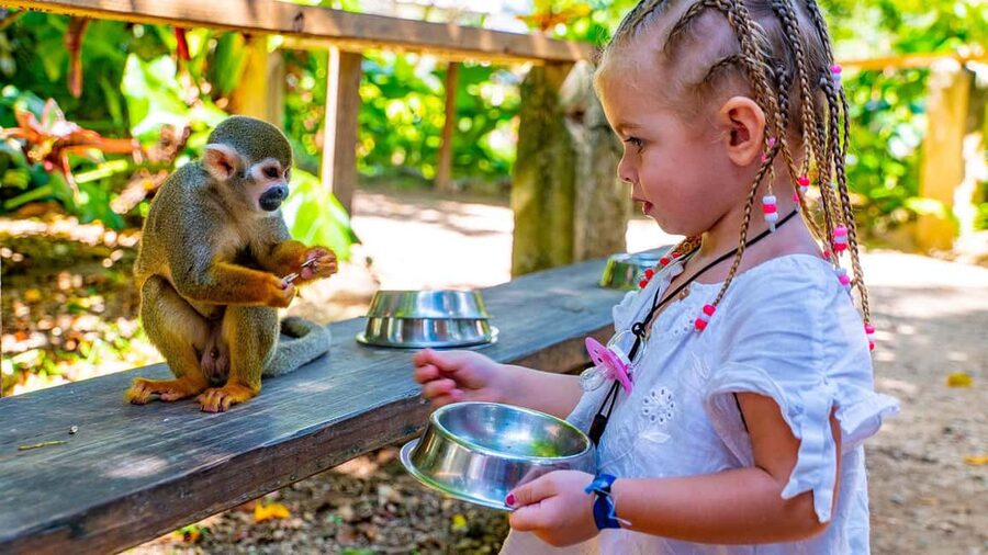 From Bayahibe: Half Day Monkeyland Safari - Meeting the monkeys on a five-acre property