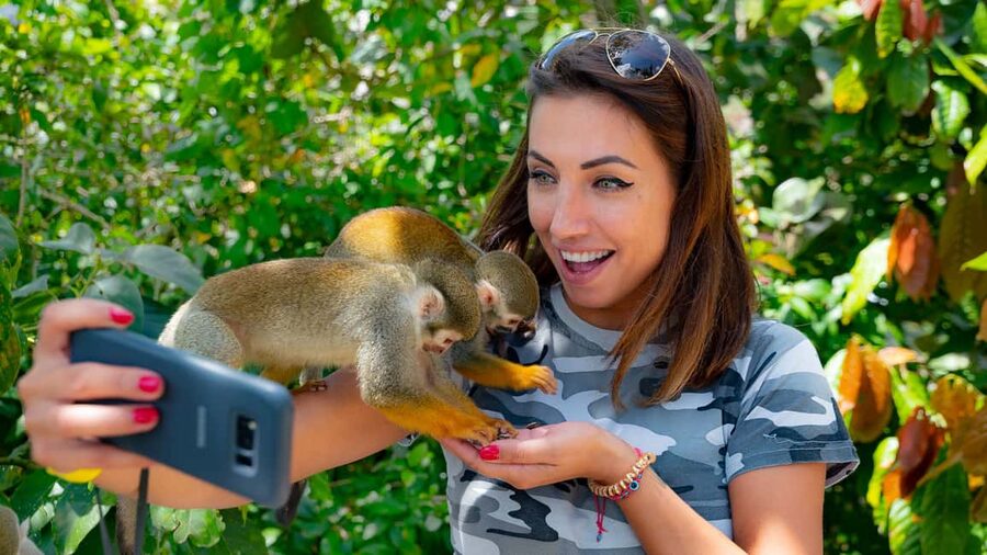 From Bayahibe: Half Day Monkeyland Safari - How the guiding affects the day