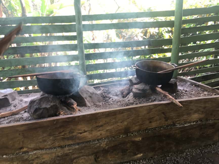 From Bayahibe: Half Day Monkeyland Safari - Who should choose this experience