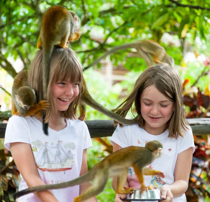 From Bayahibe: Half Day Monkeyland Safari - Why the botanical garden matters