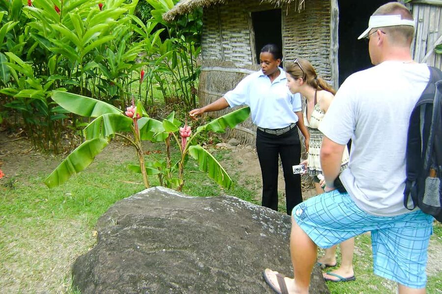 From Castries: Full-Day Catamaran Tour to Soufriere - Creole lunch at Morne Coubaril Estate