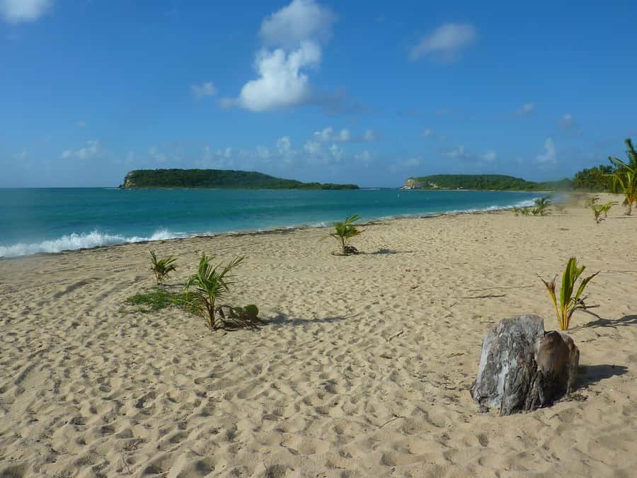 From Fajardo: Boat and Snorkeling in Culebra Island with All-Inclusive - What the six-hour schedule feels like