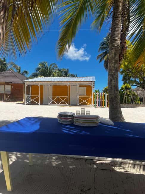 From La Romana: Saona Island for Aida Cruises Passengers - Penon explains the island before the beach time