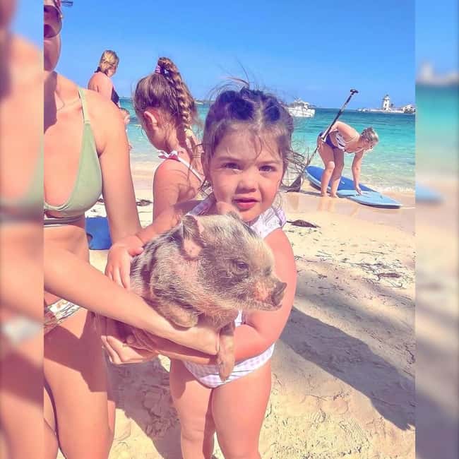 From Nassau: Swim with Pigs Safari - Practical tips for a smoother outing