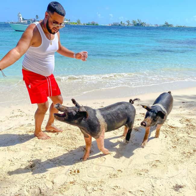 From Nassau: Swim with Pigs Safari - Cruising past Atlantis and through the tunnel
