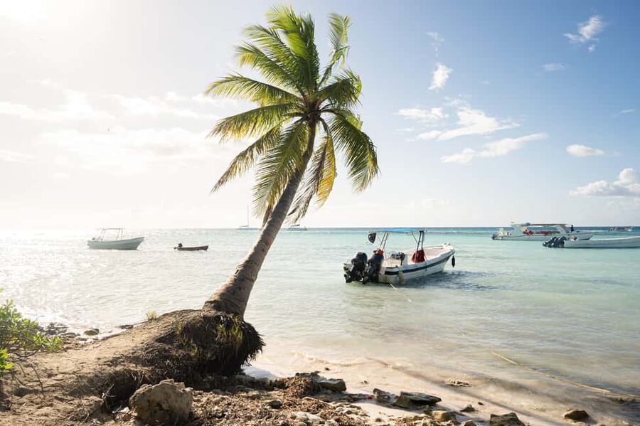 From Punta Cana: Catamaran Tour to Saona Island with Open Bar and Buffet - The catamaran ride is part sightseeing cruise, part floating party