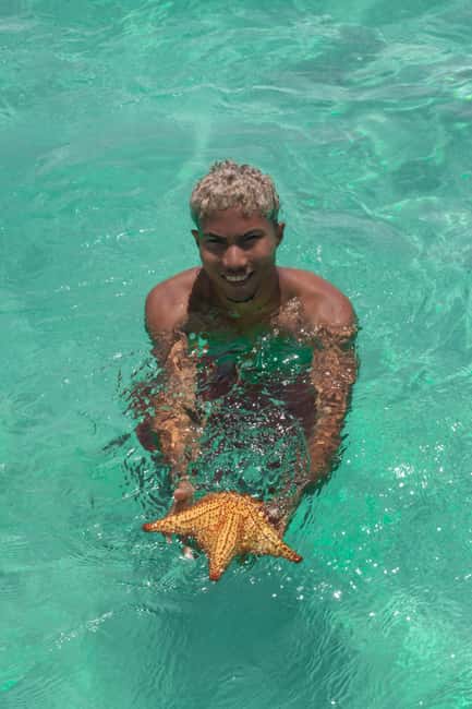 From Punta Cana: Catamaran Tour to Saona Island with Open Bar and Buffet - Lunch brings Dominican flavors into the beach day