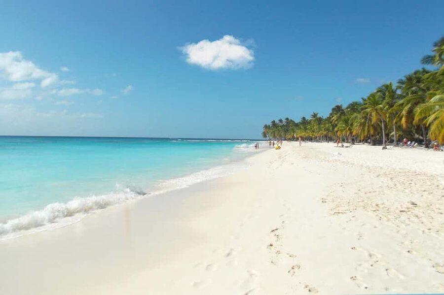 From Punta Cana: Catamaran Tour to Saona Island with Open Bar and Buffet - What the $81 price really covers