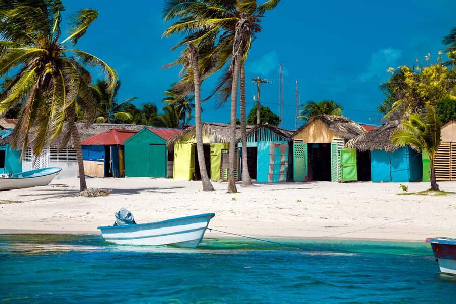 From Punta Cana: Catamaran Tour to Saona Island with Open Bar and Buffet - Who should book this Saona excursion