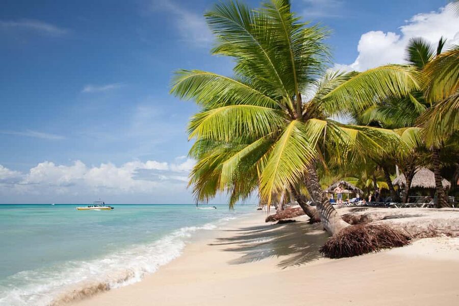 From Punta Cana: Catamaran Tour to Saona Island with Open Bar and Buffet - The early transfer to Bayahibe sets the pace