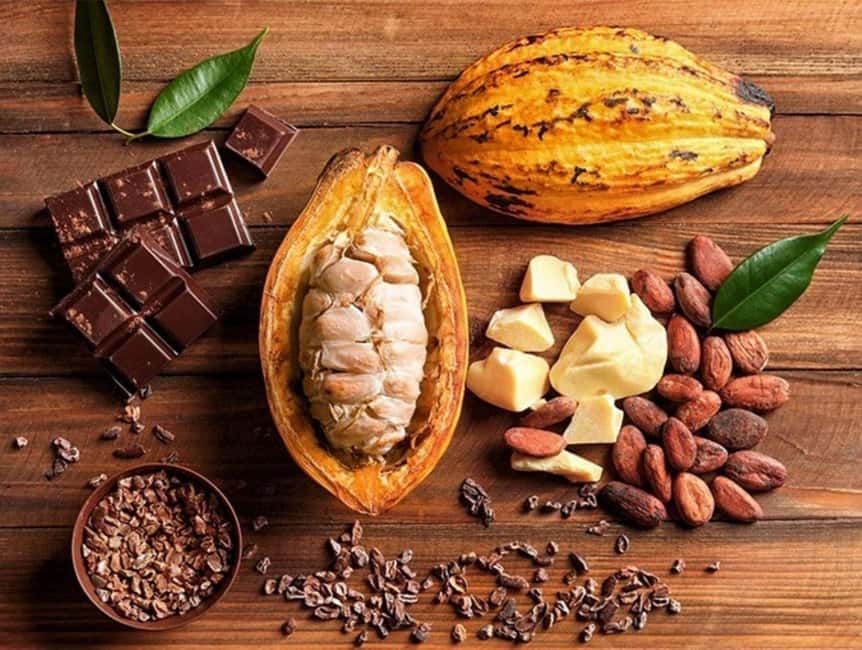 From Punta Cana: Higuey Expedition Cultural & Historic Tour - Coffee, cocoa, and a countryside home