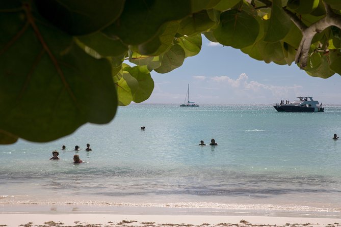From Punta Cana: Saona Island & Altos de Chavon Day Trip with Lunch and Open Bar - Reaching Saona by boat