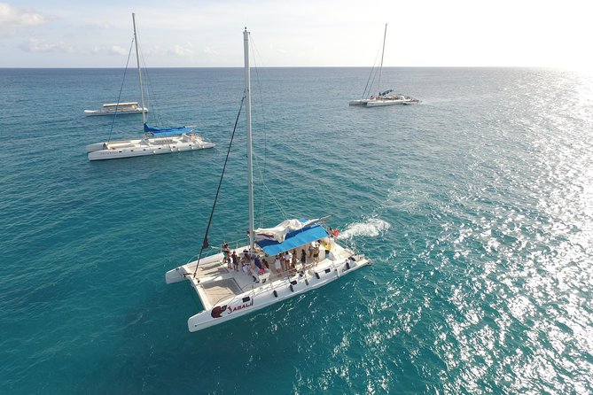 From Punta Cana: Saona Island & Altos de Chavon Day Trip with Lunch and Open Bar - Three hours on Saona Island