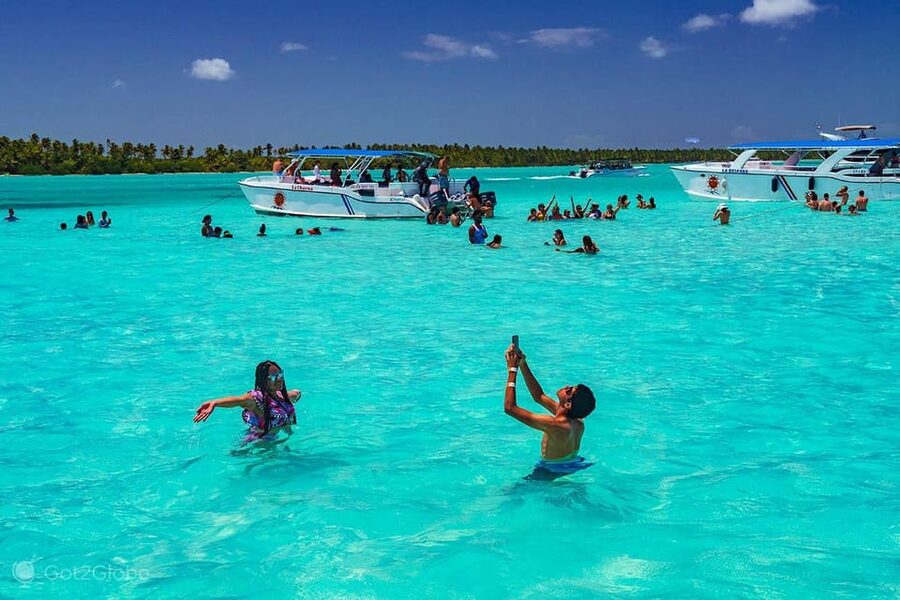 From Punta Cana: Saona Island Full-Day Tour with Lunch - Dominican-style buffet lunch
