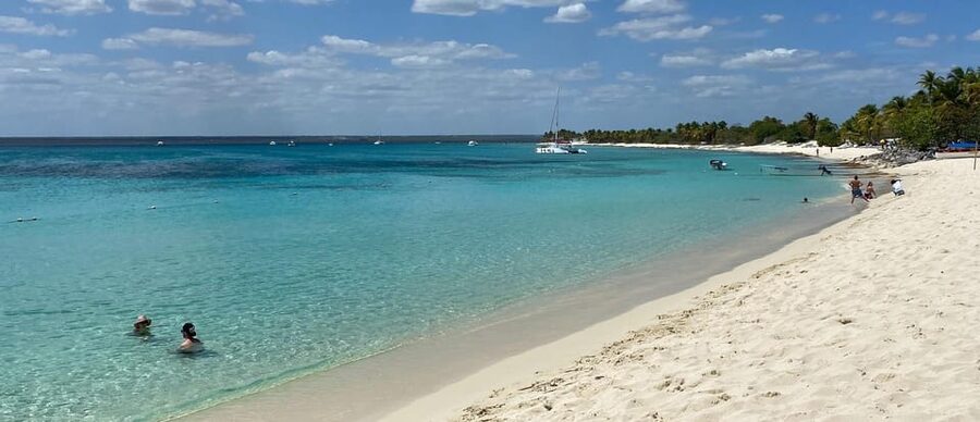 From Punta Cana: Saona Island Full-Day Tour with Lunch - What the $73 price really covers