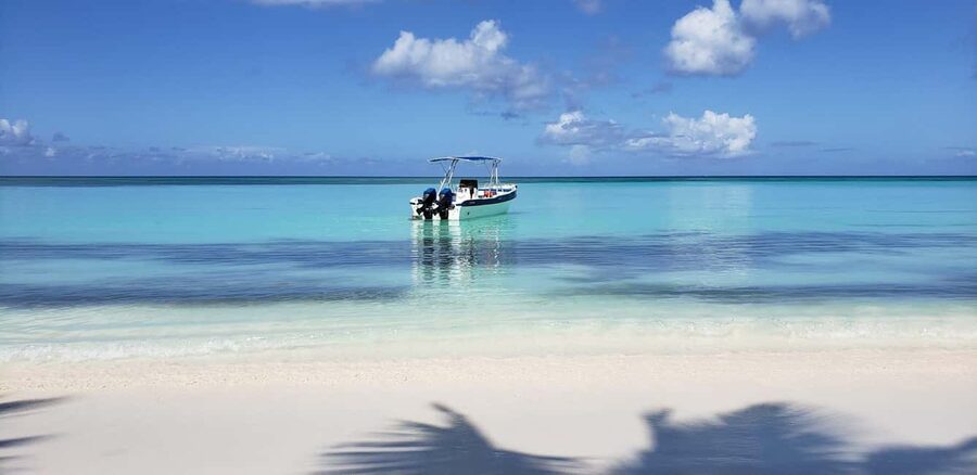 From Punta Cana: Saona Island Full-Day Tour with Lunch - Who should book this day trip