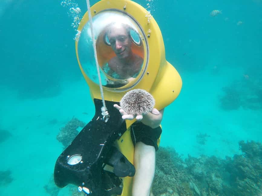 From Punta Cana: ScubaDoo, Snorkel & Glass Bottom Boat Tour - Snorkeling at El Niño
