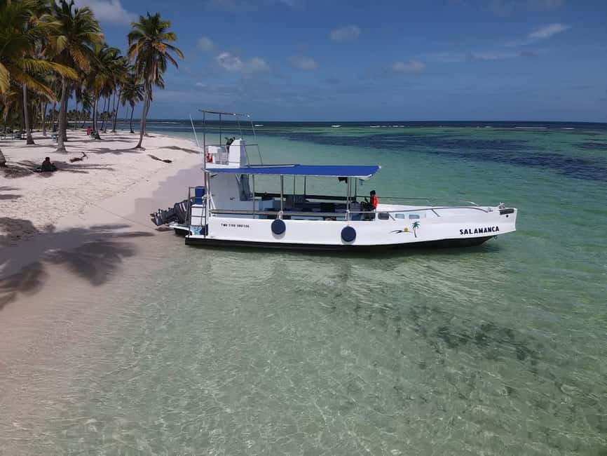 From Punta Cana: Small Group Catalina Island Snorkeling Tour - Is the $128 price fair?