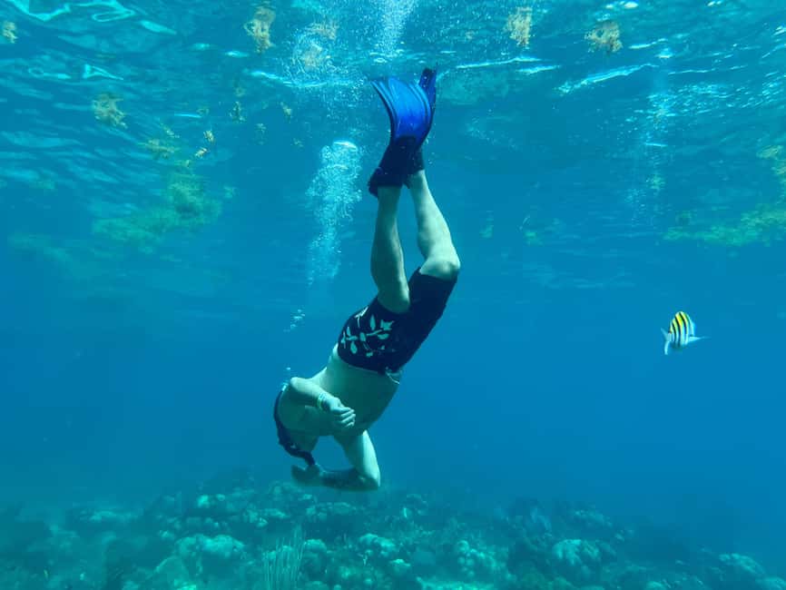 From Punta Cana: Small Group Catalina Island Snorkeling Tour - Who will enjoy this Catalina Island day?