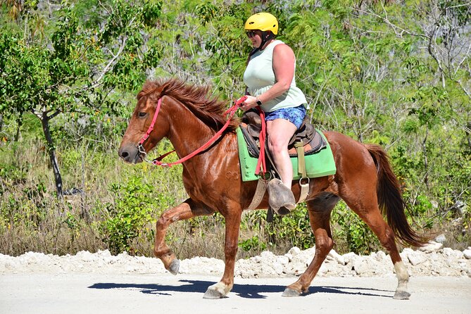 Full Access To Bavaro Adventure Park - With Buggys & Lunch - Splash of Emotions and the water stop