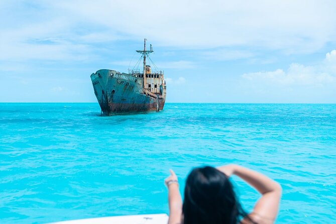 Full day 7hours- beach bbq, snorkel, Iguana island, half moon bay pine cay, Fun! - Dolphin watching and other wildlife