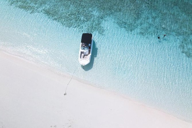 Full day 7hours- beach bbq, snorkel, Iguana island, half moon bay pine cay, Fun! - What the $2,800 price really buys