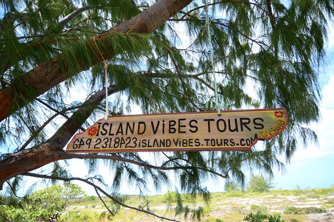 Full Day Beach BBQ Lunch & Snorkeling Excursion in Grace Bay - Snorkeling the reef first