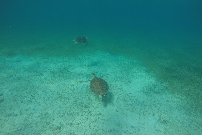 Full Day Charter from Fajardo to Culebra - What the $1,500 group price really buys