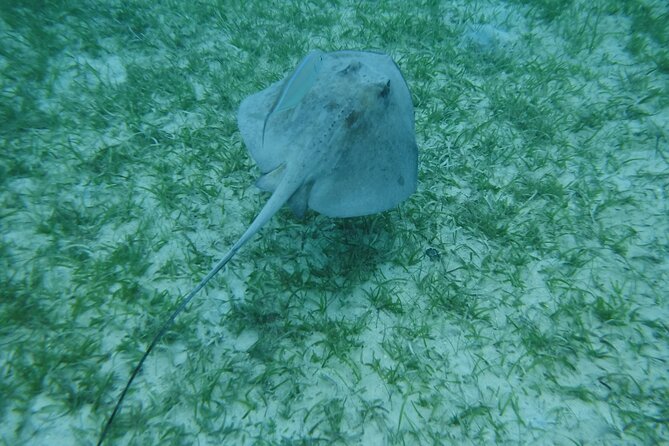 Full Day Charter from Fajardo to Culebra - Who should book this experience