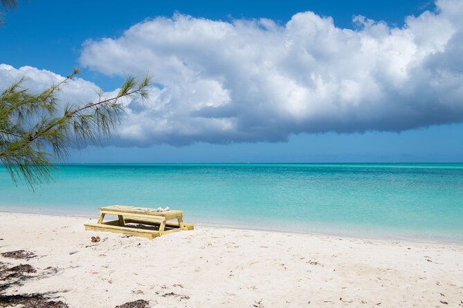Full Day Cruise from Providenciales with Snorkeling and BBQ Lunch - Iguana Island and the story of conch
