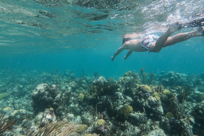 Full Day Cruise from Providenciales with Snorkeling and BBQ Lunch - Food, drinks, and the $280 price