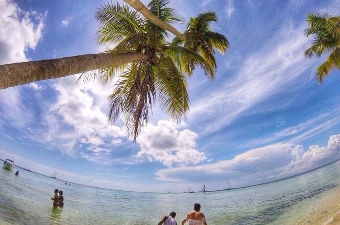 Full-Day Cruise of Isla Saona from Santo Domingo with Lunch - Drinks, music, and the real boat atmosphere