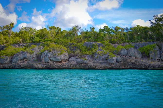 Full-Day Excursion in Saona Island - The return transfer and why timing matters