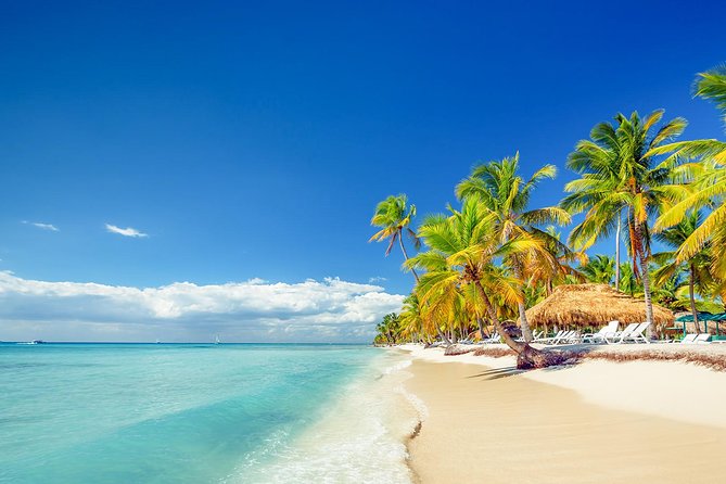 Full-Day Excursion in Saona Island - The speedboat ride to the natural pool