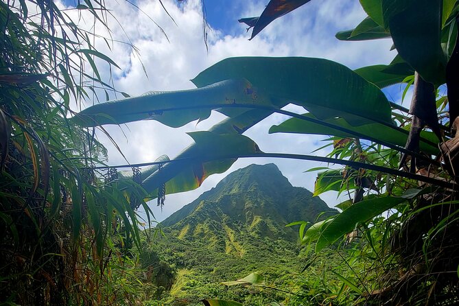 Full Day Hike Tour from Dominica - Morne Trois Pitons National Park on foot