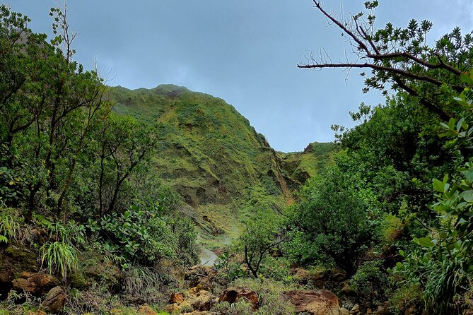 Full Day Hike Tour from Dominica - What the guides add to the day