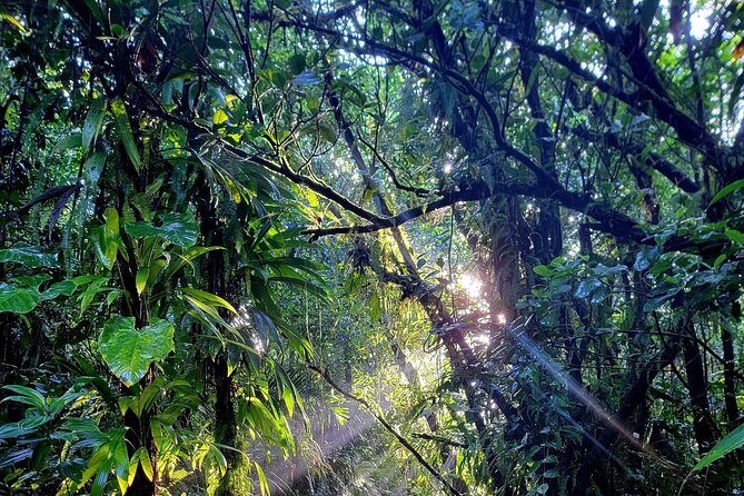 Full Day Hike Tour from Dominica - Is $120 good value?