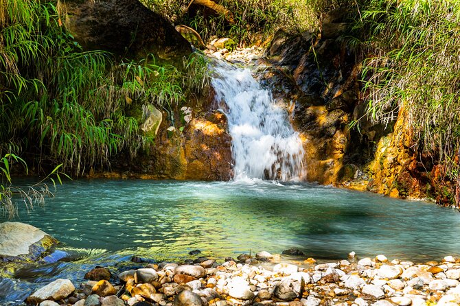 Full Day Hike Tour from Dominica - Who should book this experience?