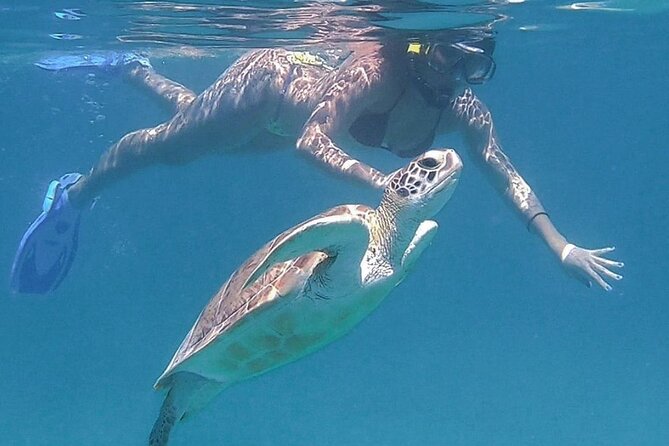 Full-Day Snorkeling Tour to Culebra Island with Lunch - What the $168.37 price includes