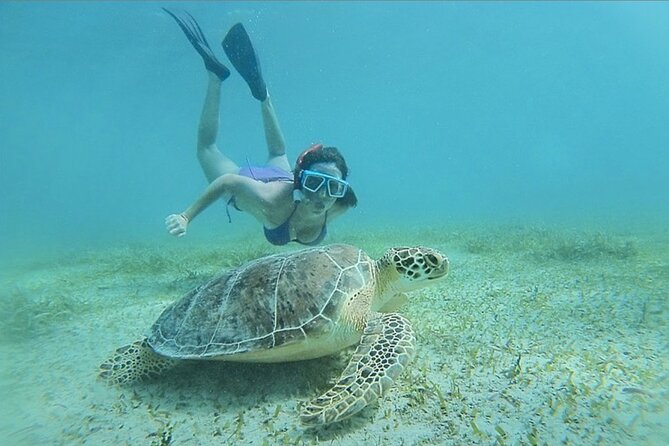 Full-Day Snorkeling Tour to Culebra Island with Lunch - Getting to Roosevelt Roads for the 8 am departure