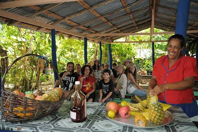 Full-Day Tour 4x4 ATV, Water Cave, and Snorkeling Cruise - Coffee, chocolate, and a short taste of Dominican farm life